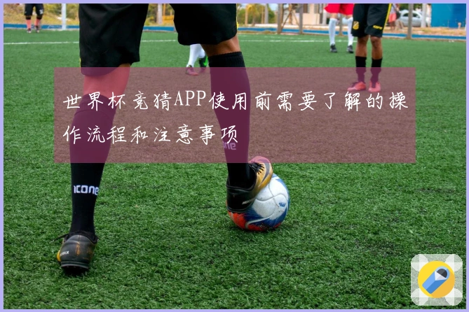 世界杯竞猜APP使用前需要了解的操作流程和注意事项