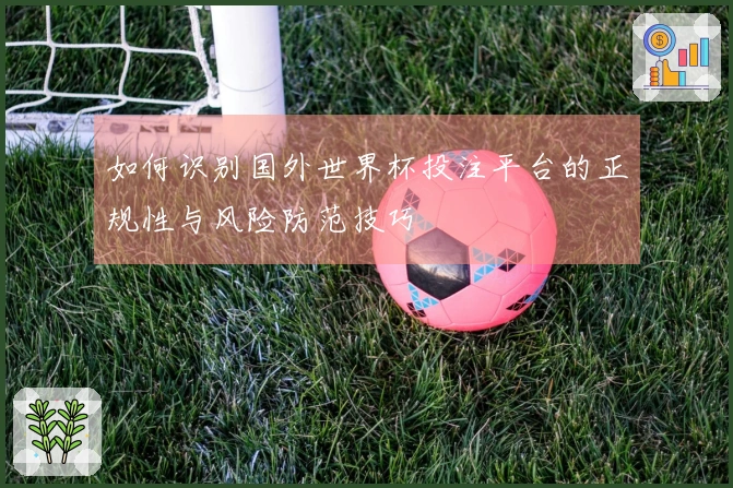 如何识别国外世界杯投注平台的正规性与风险防范技巧