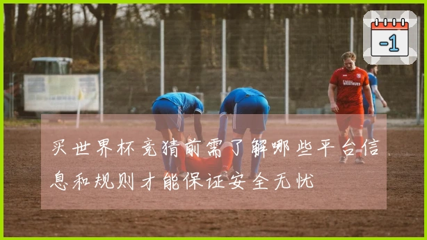 买世界杯竞猜前需了解哪些平台信息和规则才能保证安全无忧