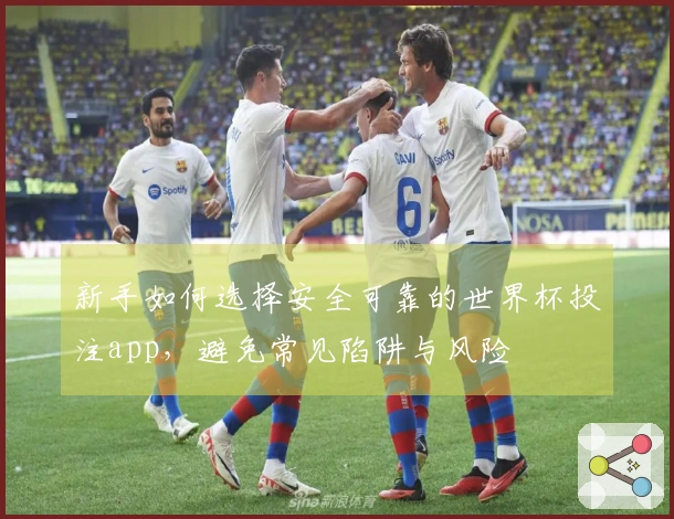 新手如何选择安全可靠的世界杯投注app，避免常见陷阱与风险